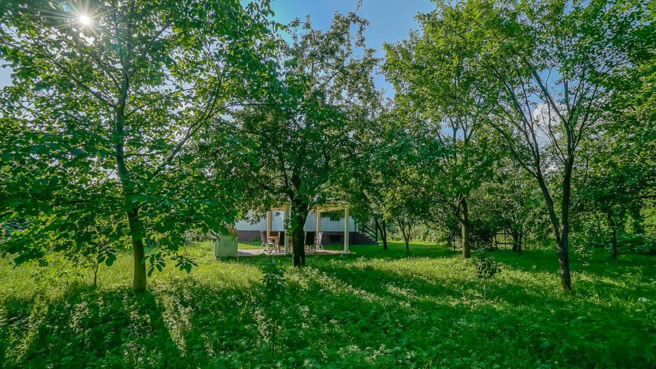 Vila Luna Комарник Экстерьер фото